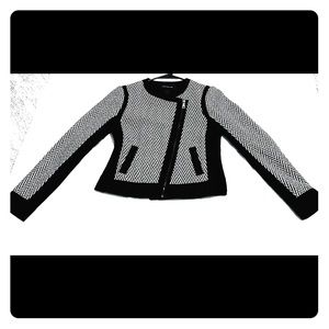 Casual Business jacket